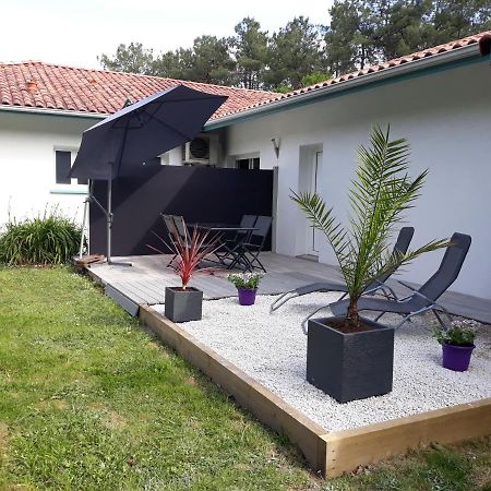 Chambre D'Hotes Du Pin Pey Εξωτερικό φωτογραφία