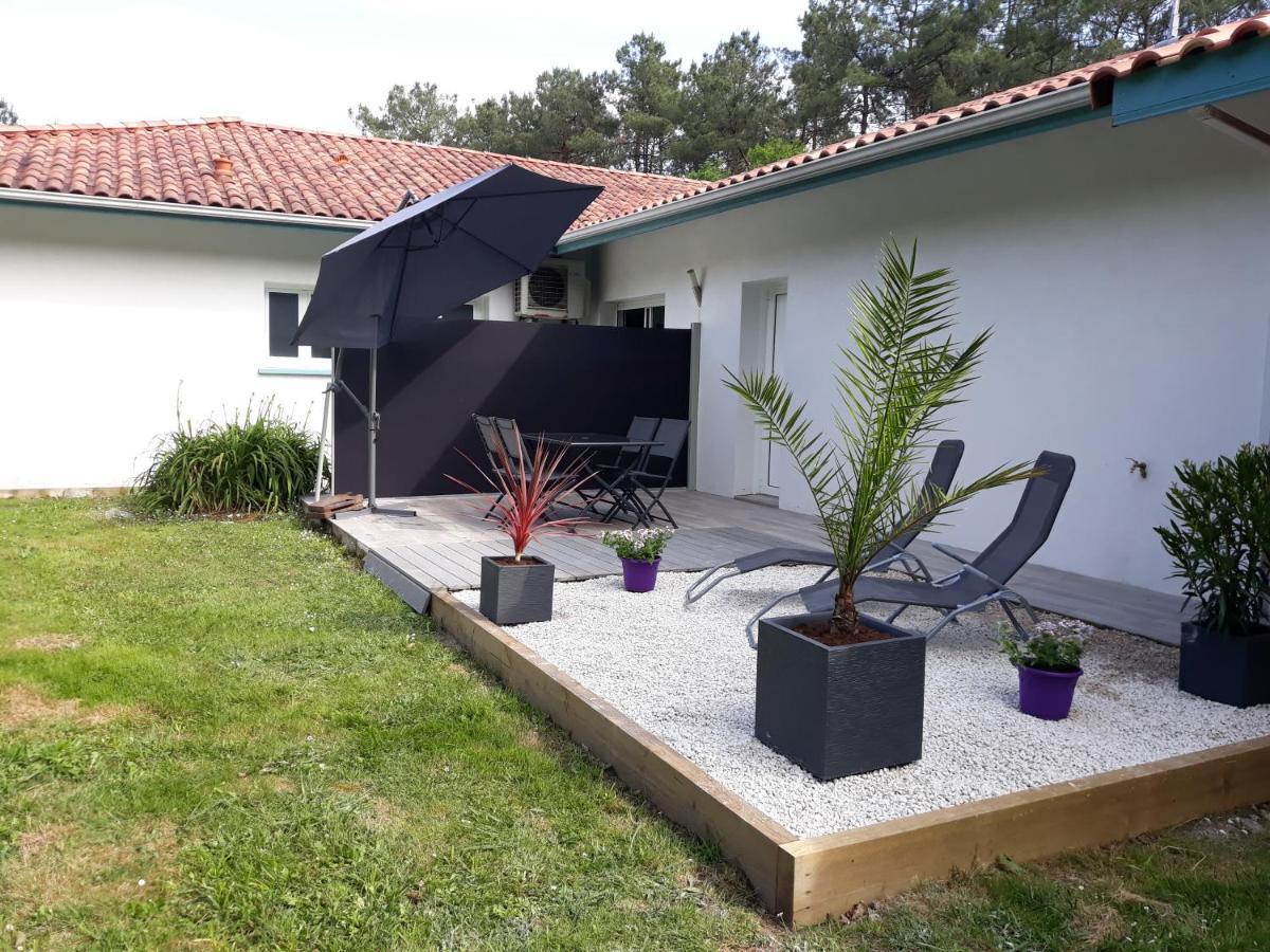 Chambre D'Hotes Du Pin Pey Εξωτερικό φωτογραφία